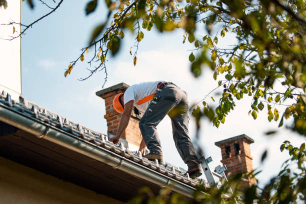 Best Metal Roofing Contractor  in Laughlin Af, TX