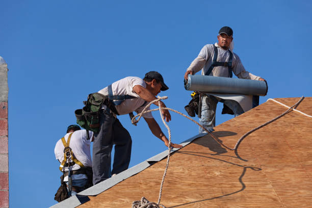 Best Roof Gutter Cleaning  in Laughlin Af, TX